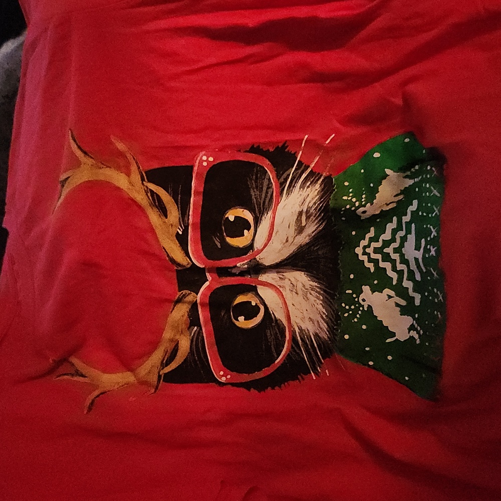 Funny Cat Christmas shirt! Cat w/antlers!!! :) too cute for a cat lover!